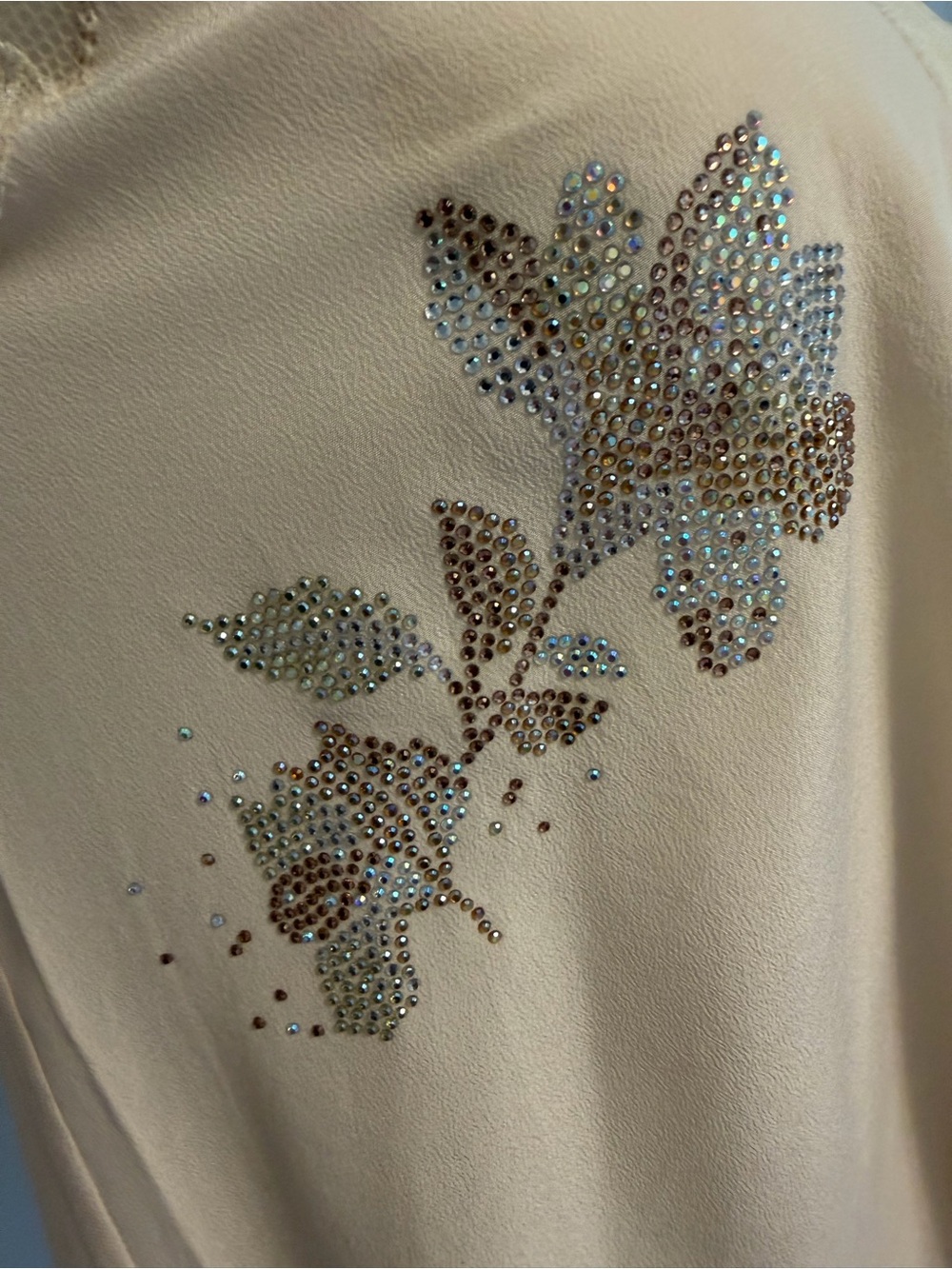 Zadig & Voltaire Christy Cream Lace-Trim silk Camisole with Sequin XS - Picture 5 of 9